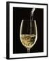 White Wine Pouring from Bottle into Glass-John Hay-Framed Photographic Print