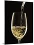 White Wine Pouring from Bottle into Glass-John Hay-Mounted Photographic Print