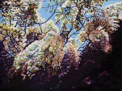 https://imgc.allpostersimages.com/img/posters/white-wisteria-2012_u-L-Q1326LG0.jpg?artPerspective=n