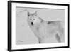 White Wolf 3-Gordon Semmens-Framed Photographic Print