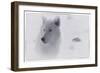 White Wolf-3-Gordon Semmens-Framed Giclee Print