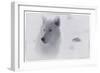 White Wolf-3-Gordon Semmens-Framed Giclee Print