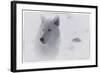 White Wolf-3-Gordon Semmens-Framed Giclee Print