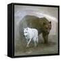 White Wolf, Brown Bear-Stephen Mitchell-Framed Stretched Canvas