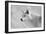 White Wolf BW-Gordon Semmens-Framed Photographic Print