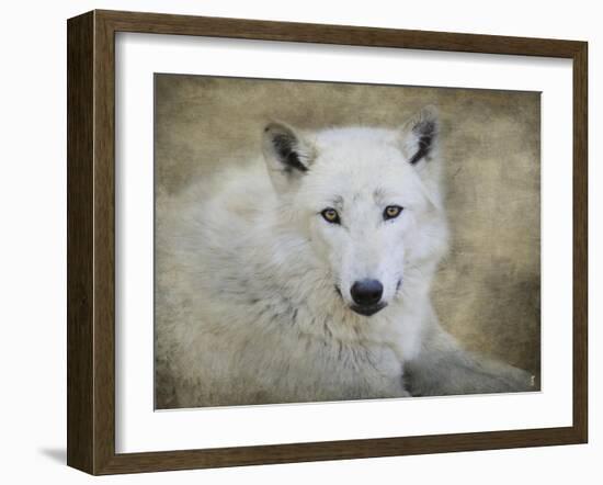 White Wolf Portrait-Jai Johnson-Framed Giclee Print