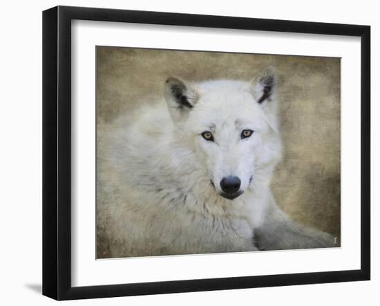 White Wolf Portrait-Jai Johnson-Framed Giclee Print