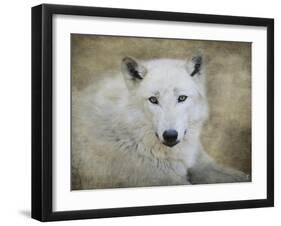 White Wolf Portrait-Jai Johnson-Framed Giclee Print