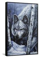 White Wolf-Jenny Newland-Framed Stretched Canvas