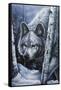 White Wolf-Jenny Newland-Framed Stretched Canvas