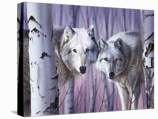 White Wolves by Birch-Rusty Frentner-Stretched Canvas