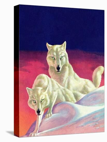 "White Wolves," March 8, 1941-Jack Murray-Stretched Canvas