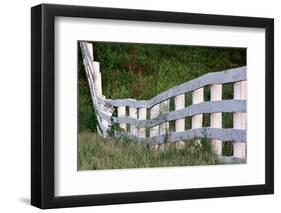 White wooden fence across rolling hill, Shaker Village of Pleasant Hill, Harrodsburg, Kentucky-Adam Jones-Framed Photographic Print