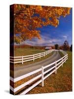 White Wooden Fence Along Farm-Bob Krist-Stretched Canvas