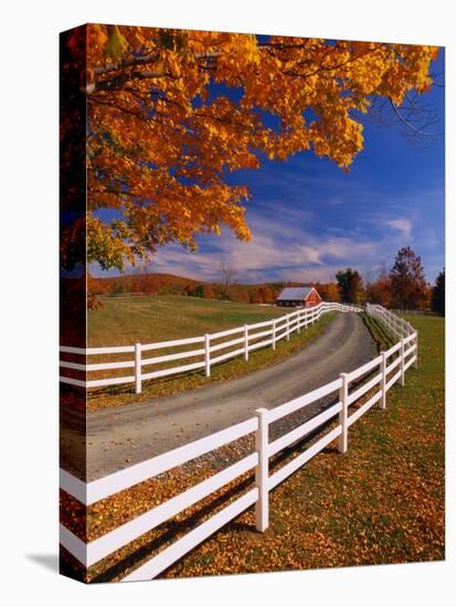 White Wooden Fence Along Farm-Bob Krist-Stretched Canvas