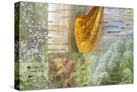White Woodland Collage-Cora Niele-Stretched Canvas