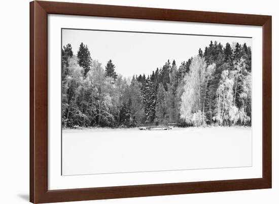 White Woods-Andreas Stridsberg-Framed Giclee Print