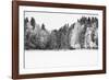 White Woods-Andreas Stridsberg-Framed Giclee Print