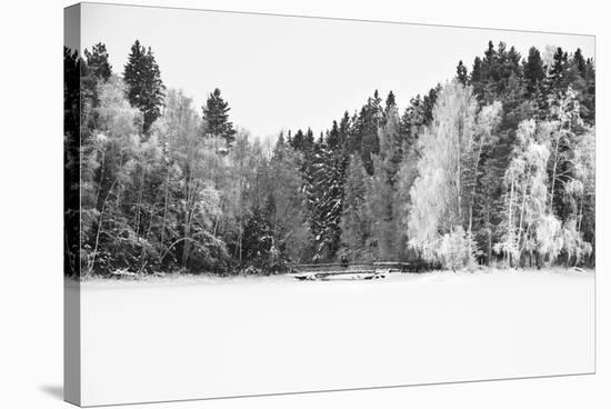 White Woods-Andreas Stridsberg-Stretched Canvas