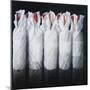 White Wrapped Wine, 2012-Lincoln Seligman-Mounted Giclee Print