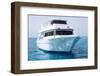 White Yacht in Blue Sea-Dudarev Mikhail-Framed Photographic Print