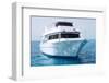 White Yacht in Blue Sea-Dudarev Mikhail-Framed Photographic Print