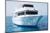 White Yacht in Blue Sea-Dudarev Mikhail-Mounted Photographic Print