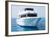 White Yacht in Blue Sea-Dudarev Mikhail-Framed Photographic Print