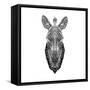 White Zebra Mesh-Lisa Kroll-Framed Stretched Canvas