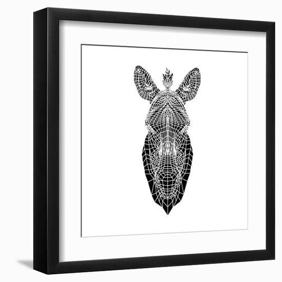 White Zebra Mesh-Lisa Kroll-Framed Art Print