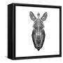 White Zebra Mesh-Lisa Kroll-Framed Stretched Canvas