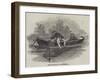 Whitebait Fishing-null-Framed Giclee Print