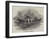 Whitebait Fishing-null-Framed Giclee Print