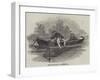 Whitebait Fishing-null-Framed Giclee Print