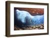 Whitebar surgeonfish school in underwater cave, Hawaii-David Fleetham-Framed Photographic Print