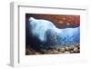 Whitebar surgeonfish school in underwater cave, Hawaii-David Fleetham-Framed Photographic Print