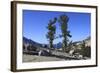 Whitebark Pine (Pinus Albicaulis) and Granite Boulders in Yosemite National Park, California, USA-Mark Taylor-Framed Photographic Print