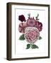 Whitebkgd-The Saturday Evening Post-Framed Giclee Print