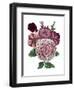 Whitebkgd-The Saturday Evening Post-Framed Giclee Print