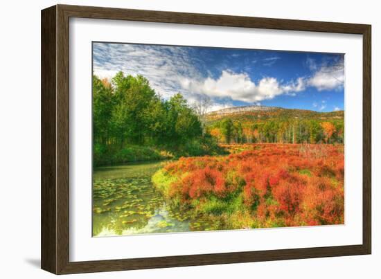 Whitecliffs-Robert Goldwitz-Framed Photographic Print