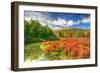 Whitecliffs-Robert Goldwitz-Framed Photographic Print