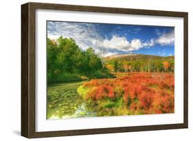 Whitecliffs-Robert Goldwitz-Framed Photographic Print