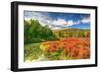 Whitecliffs-Robert Goldwitz-Framed Photographic Print