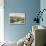 Whiteface, Lake Placid, New York-null-Stretched Canvas displayed on a wall