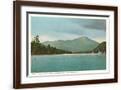 Brown Frame