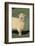 Whitefaced Woodland Sheep-DLILLC-Framed Photographic Print