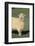 Whitefaced Woodland Sheep-DLILLC-Framed Photographic Print