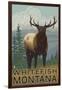 Whitefish, Montana - Elk Scene-Lantern Press-Framed Art Print