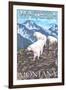 Whitefish, Montana - Mountain Goat Family-Lantern Press-Framed Art Print