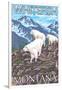 Whitefish, Montana - Mountain Goat Family-Lantern Press-Framed Art Print